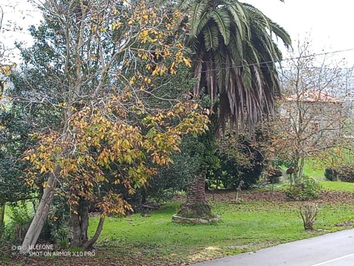 Апартаменты Casa Chisco Кудильеро Экстерьер фото